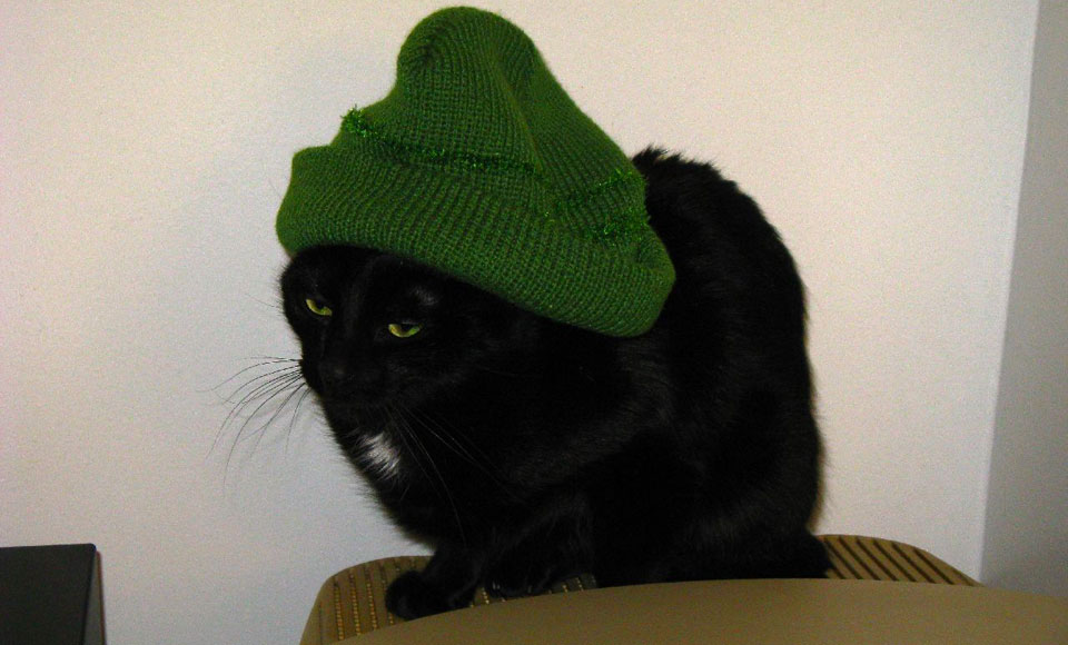 A photo of a miserable looking black cat sitting on top of a computer monitor wearing a large green beenie.